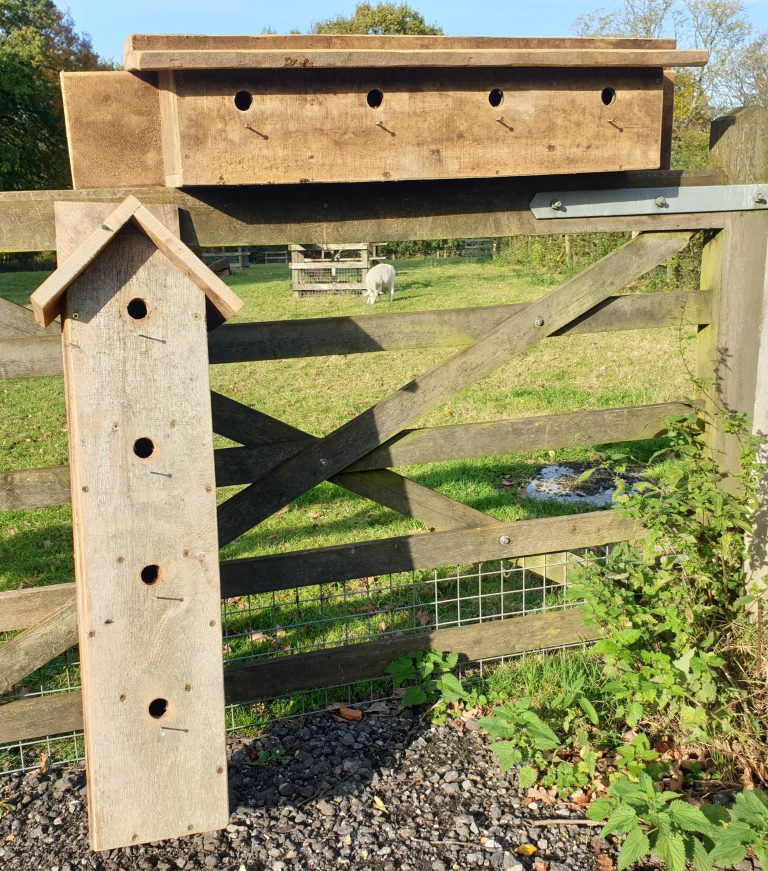 sparrow nest boxes Conservation & Access
